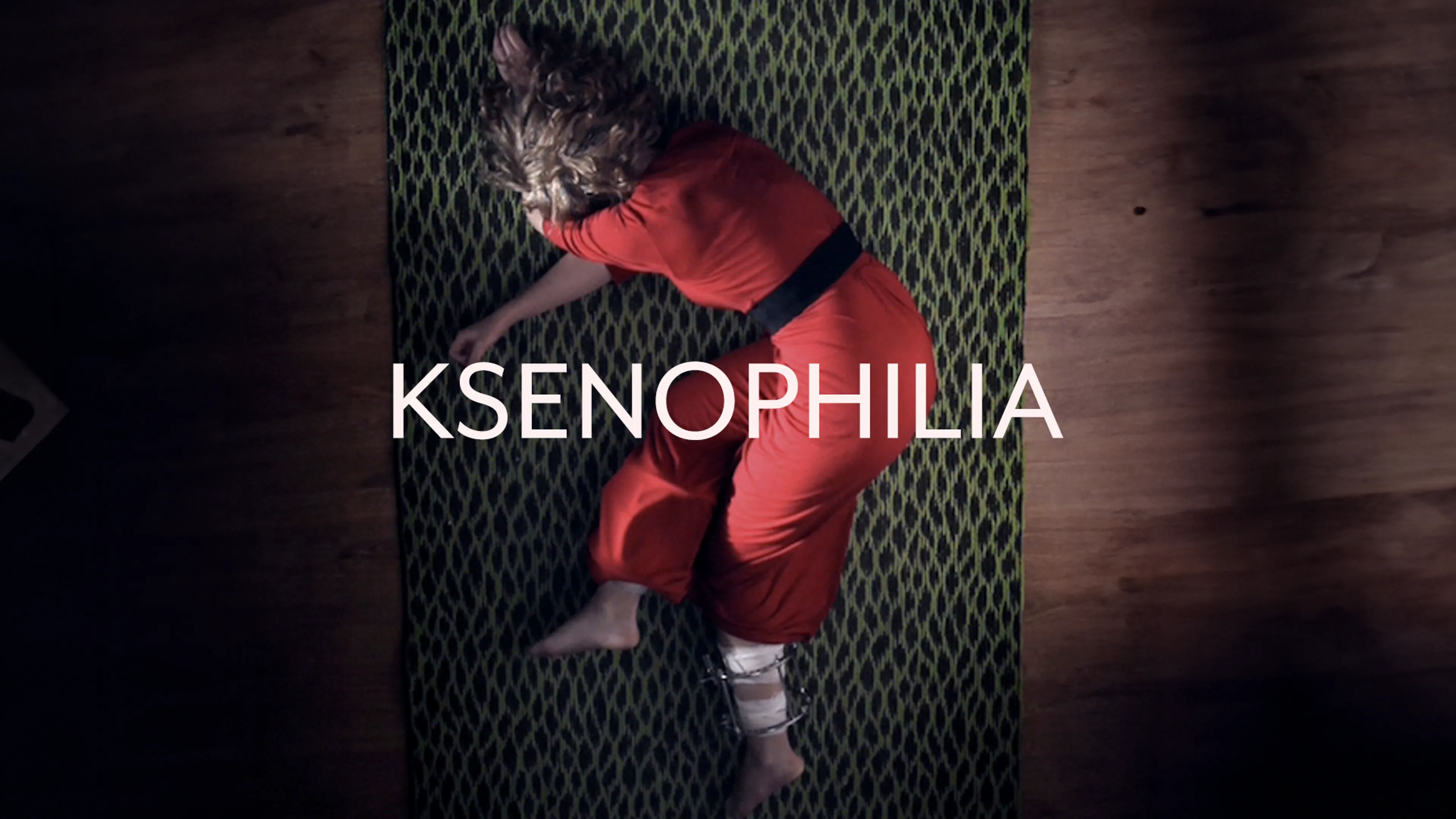 Ksenofilia poster